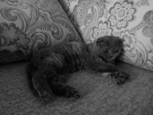 IMG 20150101 053821.jpg