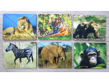 ��������� �������� "����� ��������"_��� �011_264 ���.