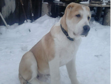 IMG 20160811 174049 76.jpg