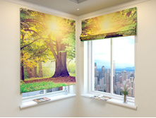 ��������� ������.jpg