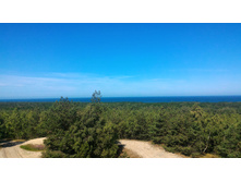 P 20160627 102424.jpg