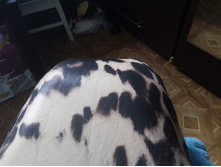 IMG 20160819 151946.jpg