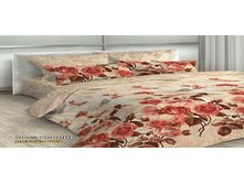 �������� ���