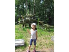 ������ 742.jpg