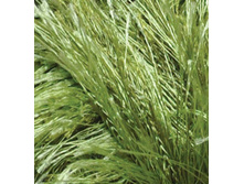 ������� 1369.jpg