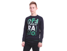 ������� ��� ���. �817846, 446+%.jpg