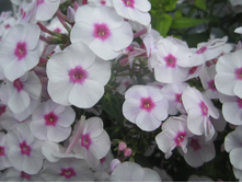 ����� 025.jpg