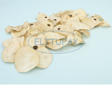 8468 ������ ������� ����������� (20 �) 109 ���.