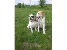 IMG 20160811 173809 23.jpg