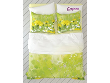 04957 1 ������� ���.jpg