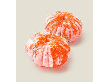 ���� ����������