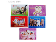 ������ ��� ��������� �4, 24 ����� �� ������ ����� ������ ���.706786 ���� 32,7 ���, �� 5 �� ������! ������!.jpg