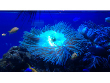 P 20160622 102855 DF.jpg