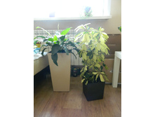 ��� �������� �������� � ��� �������� - �����������