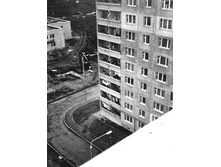 35.���� ���� 18.jpg