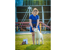 13731734 2086063131618795 4654952287416444951 n.jpg