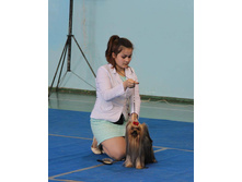 13339669 2059915857566856 4982454814900833191 n.jpg