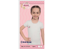 �������� 4270..png