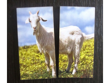 ��������-��������� "�������� ��������"_��� �010-2_176 ���.