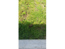 20160619 123311.jpg