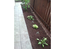 IMG 20160808 102505.jpg