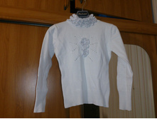 ������ ���������