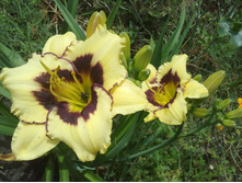 �������� �����-�������.jpg