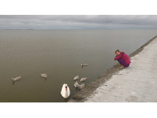 P 20160626 212615.jpg