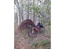 IMG 20160828 171058.jpg