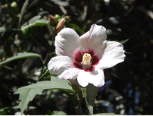 DSCF6955.JPG