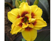 �������� ����� ������ 220���. ������ 2�.jpg