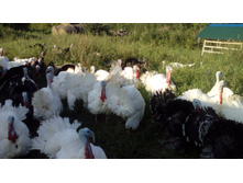 IMG 20160807 173904.jpg