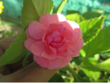 ���� 008.jpg