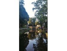 P 20160623 193505.jpg