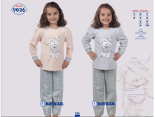 ������ 9036.png