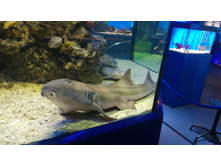 P 20160622 104104 DF.jpg