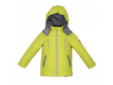 ������ �� �������� Ray 1764�