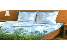 ������ �������