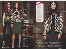 2016 12 cat ru 005.jpg