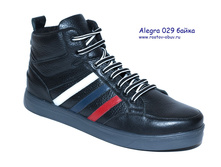 AL 029b.jpg
