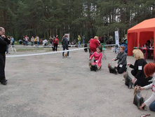 11029510 1849414448616999 7538325551926030292 n.jpg