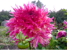 ����� �����