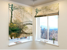 �������� ����.jpg