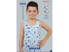 ����� 2096.png