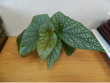 ������� �����������