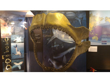 P 20160622 131659.jpg