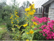 ����� 028.jpg