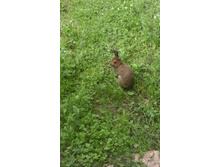 20160620 122224.jpg