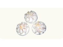 ������� �������� <<����������>>