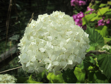 ����� 018.jpg